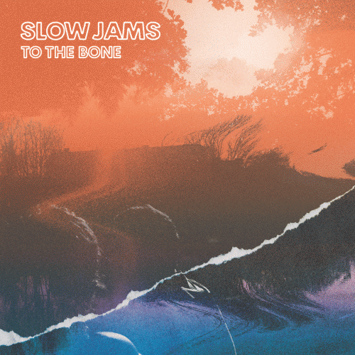 Slow Jams : To the Bone